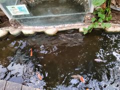 -上海大自然野生昆虫馆(东方明珠·爬宠昆虫探索中心)