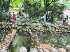 -成都市活水公园