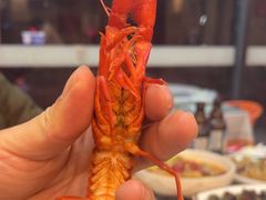 -老鄞江清水龙虾•赵赵家(江北店)