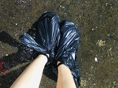 -新农都水产市场