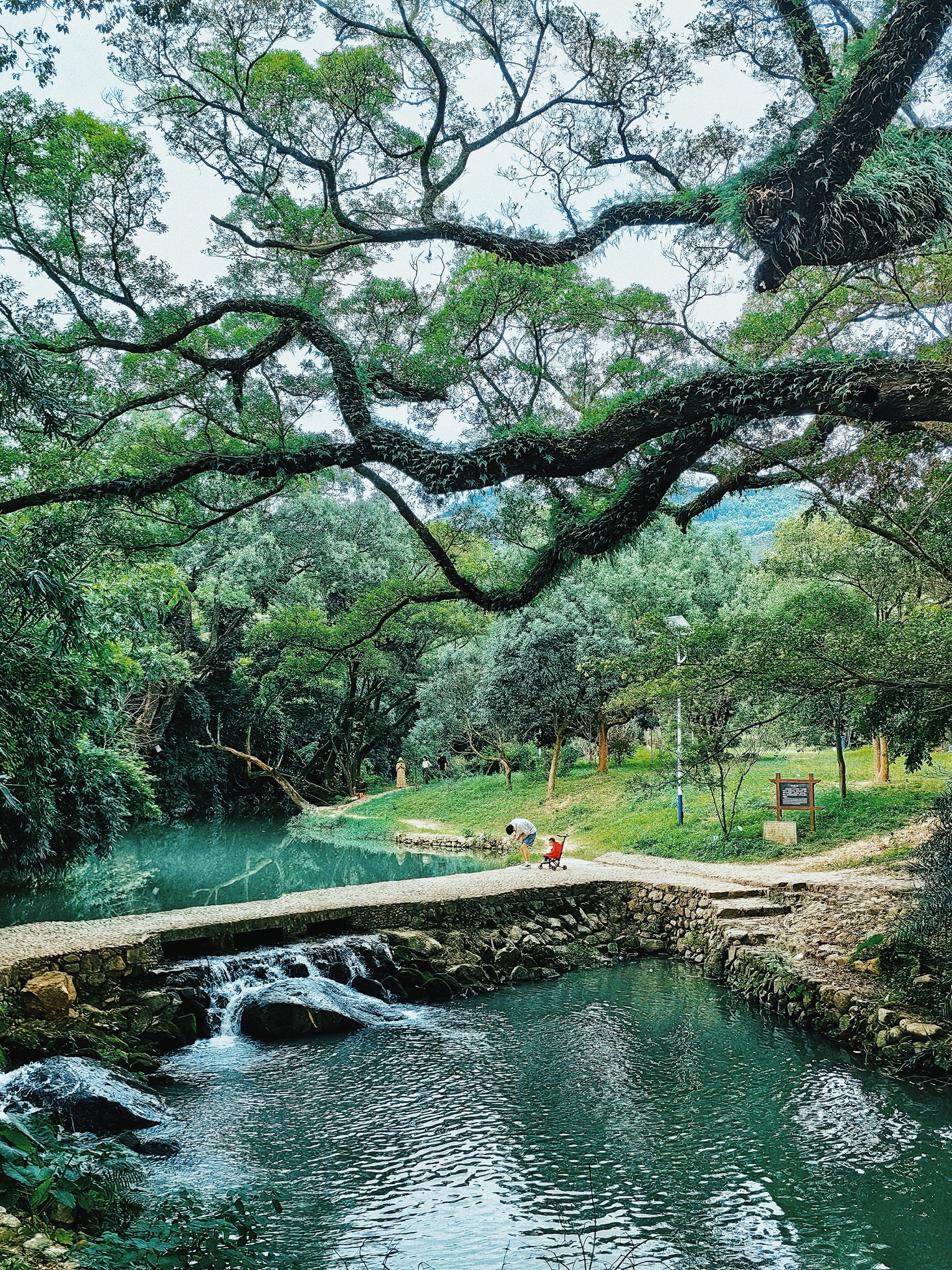 长泰旅游景点大全排名图片