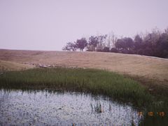 -滆湖低碳生态公园