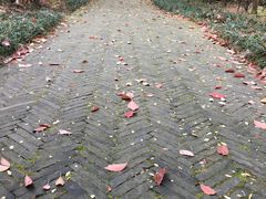 -白马涧龙池景区
