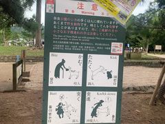 -奈良公园
