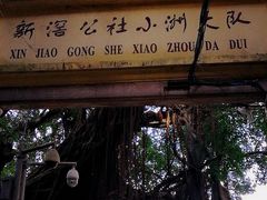 -小洲村