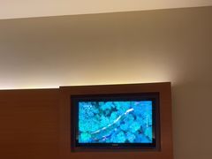-上海浦东康桥绿地假日酒店