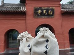 -洛阳白马寺