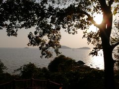 -上海市保健医疗中心(华东疗养院)