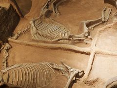 -洛阳周王城天子驾六博物馆