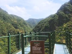 -龙湾潭国家森林公园