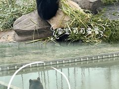 -上海野生动物园
