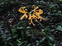 -杭州花家山庄