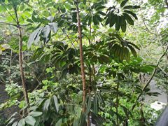 -广州都喜泰丽温泉度假酒店