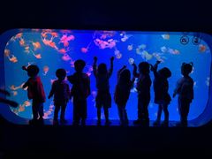 -全优加早教·托育(金沙御苑校区)