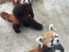 -杭州野生动物世界