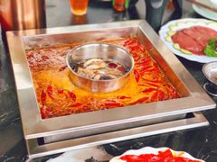 -二荆条·蜀鲜汇城市森林火锅