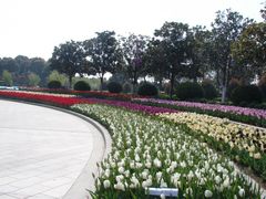 -上海鲜花港