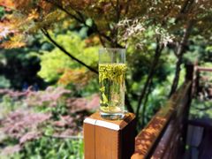 -十八棵（老龙井）御茶园(老龙井店)