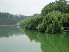 -烟台市博物馆