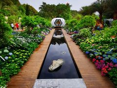 -深圳仙湖植物园