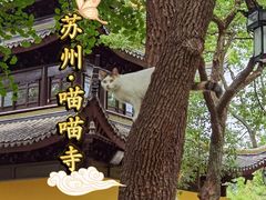 -西园戒幢律寺