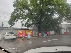 -中国石化金城加油站