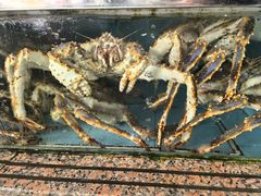 -上海龙吴水胜海发市场