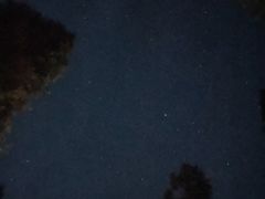 -武陵山森林公园