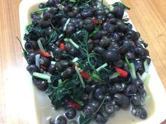 -遇龙河大樟树农家乐