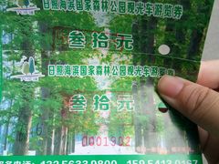 -日照海滨国家森林公园