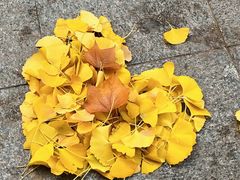 -白鹭湾湿地公园