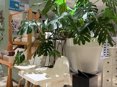 -一尺花园(安和花园店)