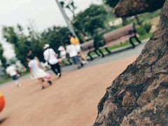 -枫香湖儿童公园