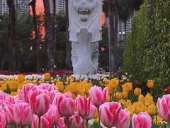-厦门园林博览苑