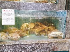 水产区-宝燕壹号(徐汇店)