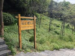 -福道