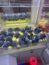 -晴空乐园(东厦100店)