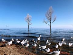 -青海湖二郎剑景区
