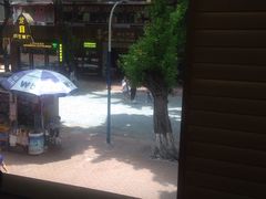 -CoCo都可(惠福店)