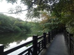 -白马涧龙池景区