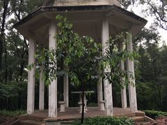 -蟹山公园