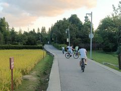 -贵阳市花溪国家城市湿地公园