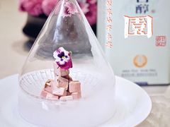 -蝶园·装修中(BFC外滩金融中心店)