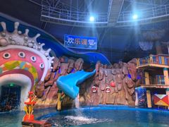 -烟台海昌鲸鲨海洋公园