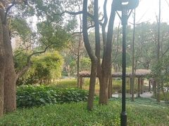 -徐家汇源景区-衡山公园