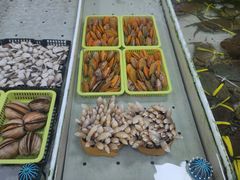 -南沙十九涌渔人码头-南门