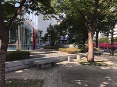 -乐天免税店(明洞店)