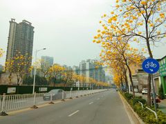 -文华公园(禅城区)
