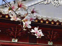 -长春观