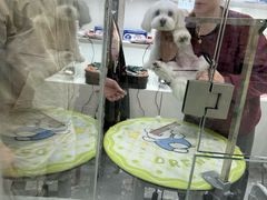 -它主义宠物(梁溪万达店)